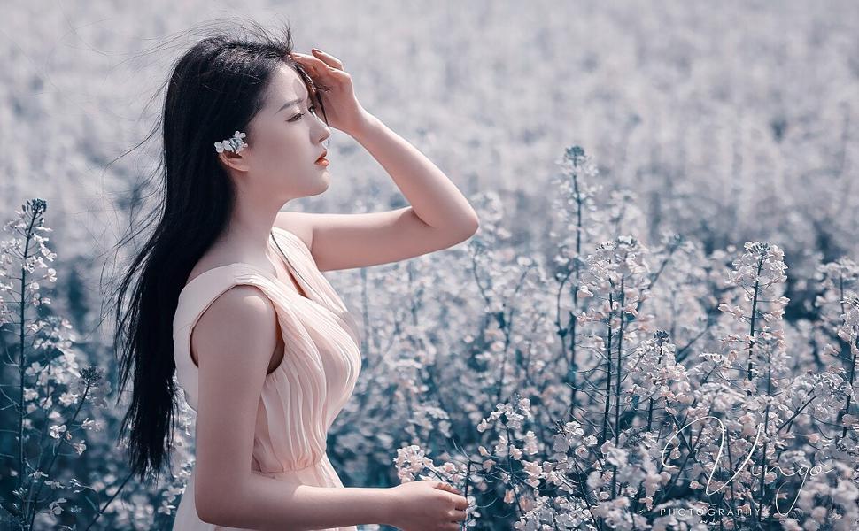 什么是网站推广